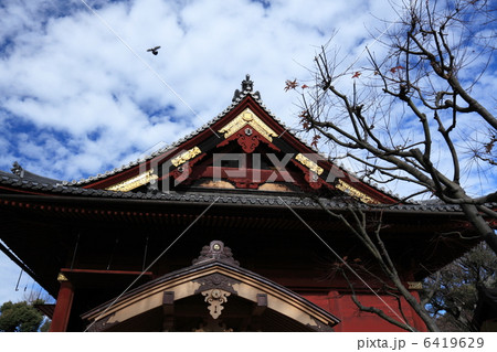清水観音堂　上野公園 6419629