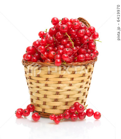 Red currant in a basket on a white background 6419970