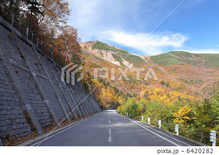 乗鞍エコーライン 6420282