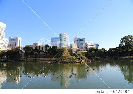 旧芝離宮恩賜庭園の池 6420404