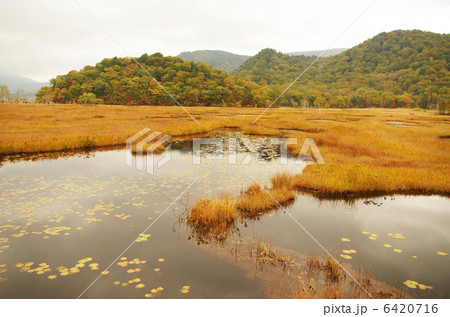 尾瀬ケ原 尾瀬ケ原 6420716