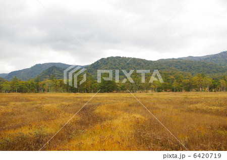 尾瀬ケ原 尾瀬ケ原 6420719
