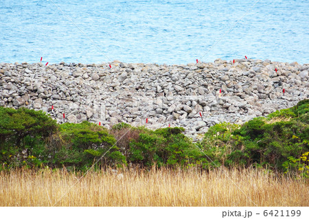 相島　積石塚古墳群 6421199