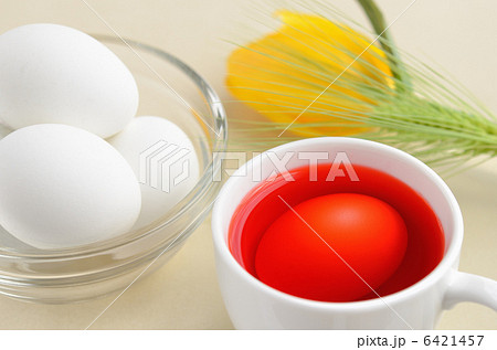 イースターエッグ作り(卵を染液に入れたところ) イースターエッグ作り(卵を染液に入れたところ) 6421457