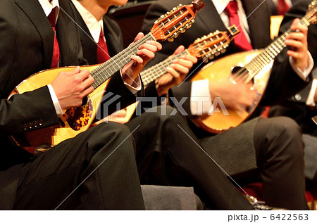 マンドリン演奏会 6422563