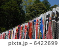 こいのぼり 6422699