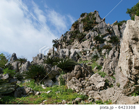 沖縄・大石林山（悟空岩） 6423308