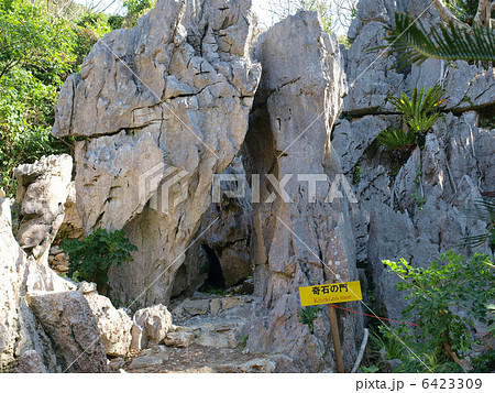 沖縄・大石林山(奇岩) 沖縄・大石林山(奇岩) 6423309