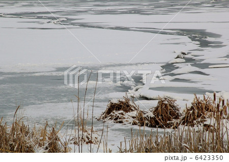 平成25年の御神渡 平成25年の御神渡 6423350