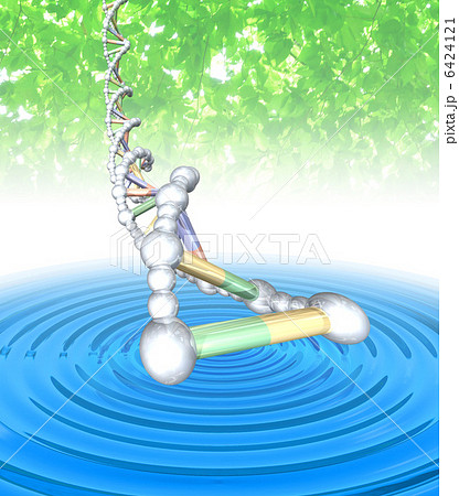 DNA・遺伝子配列イメージ 6424121