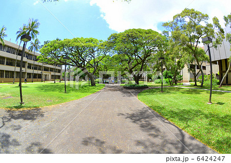 ハワイ大学　キャンパス 6424247