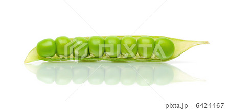 pod of peas on a white background pod of peas on a white background 6424467