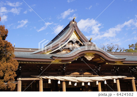 寒川神社 6424502