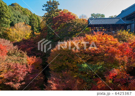 東福寺 通天橋からの方丈 東福寺 通天橋からの方丈 6425367