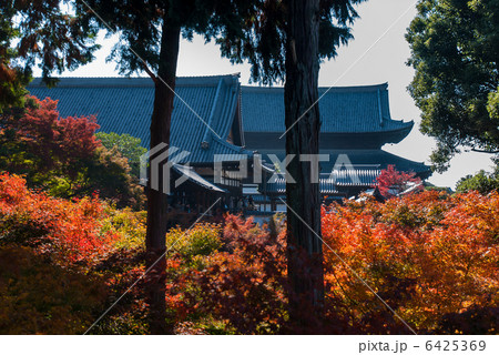 東福寺 紅葉 東福寺 紅葉 6425369