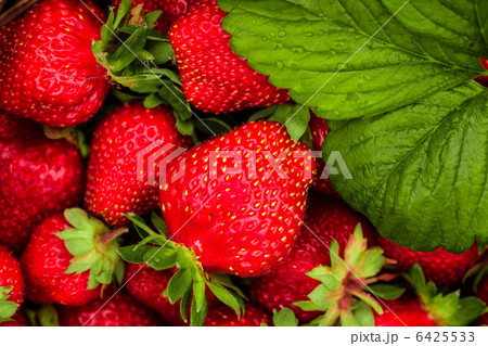 Strawberry berries Strawberry berries 6425533