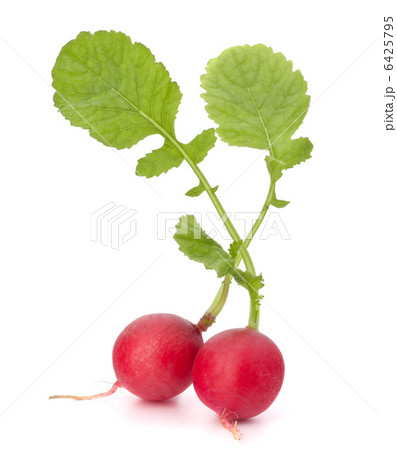 Small garden radish with leaves 6425795