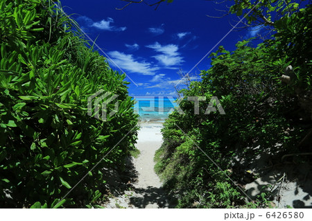 来間島の長間浜入口 6426580