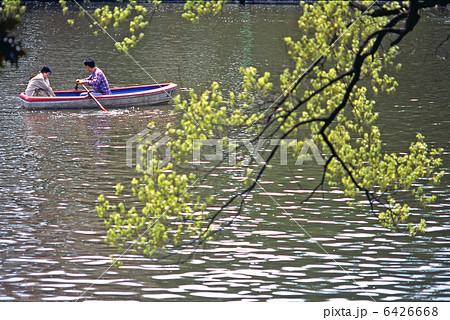 ボートの浮かぶ大宮公園ボート池　1994年 6426668