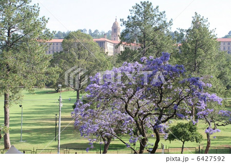 南アフリカプレトリアの町並み 6427592