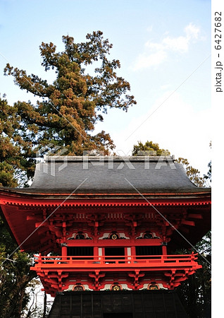 土佐神社 鼓楼と後ろにそびえる御神木の大杉 国の重要文化財 土佐神社 鼓楼と後ろにそびえる御神木の大杉 国の重要文化財 6427682