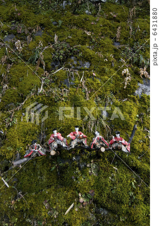 ひなまつり 6431880