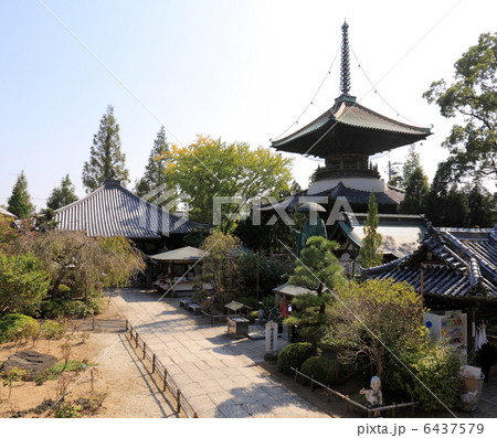 四国霊場第19番札所「立江寺」大師堂、多宝塔、弘法大師像 6437579