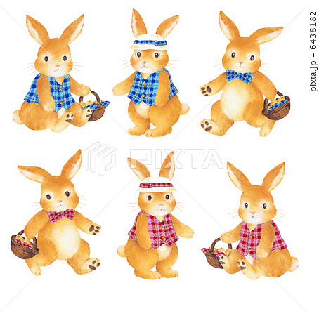 可愛いウサギのイラスト素材 6438182 Pixta