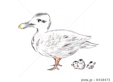 カモの親子 6438473