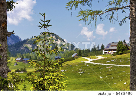 Mother Nature 6438496