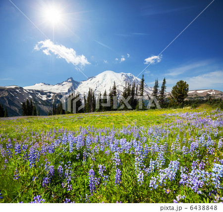 Mt.Rainier Mt.Rainier 6438848
