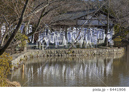 鎌倉の鶴岡八幡宮 6441906