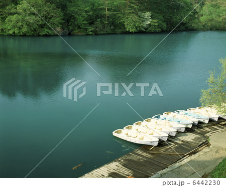 新緑の毘沙門沼 6442230