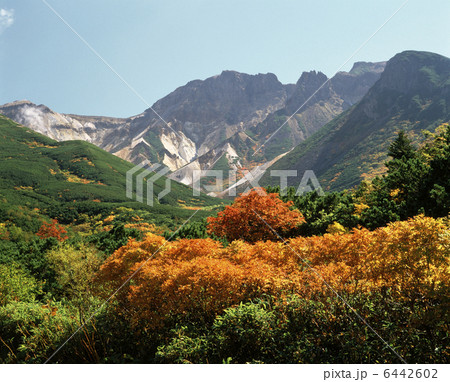 紅葉と上ホロカメットク山 6442602
