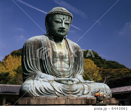 大仏 6443061