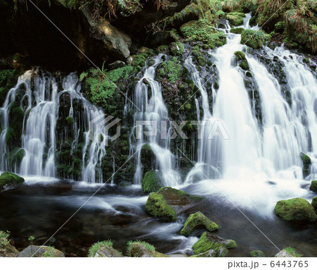 苔の元滝 6443765