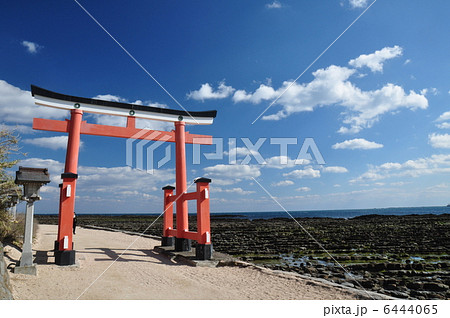 青島神社02 6444065