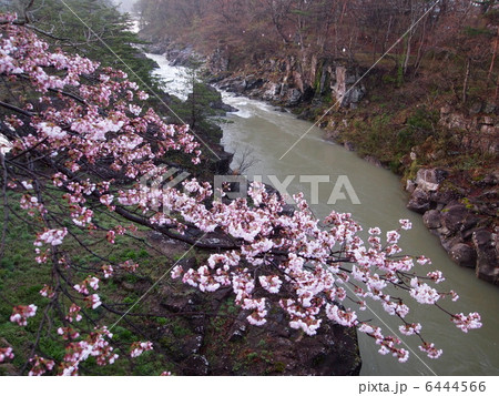 天工橋からの厳美渓 6444566
