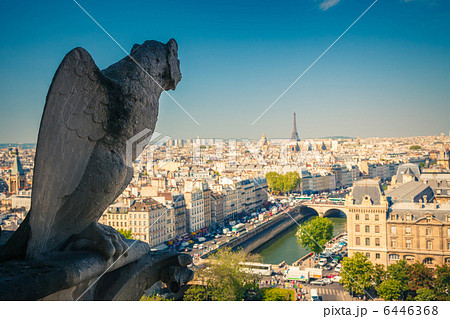 Gargoyle on Notre Dame Cathedral 6446368