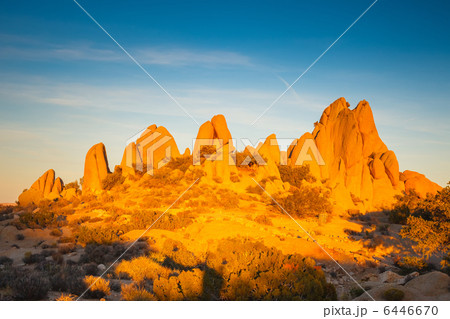 Rocks in Joshua Tree National Park Rocks in Joshua Tree National Park 6446670