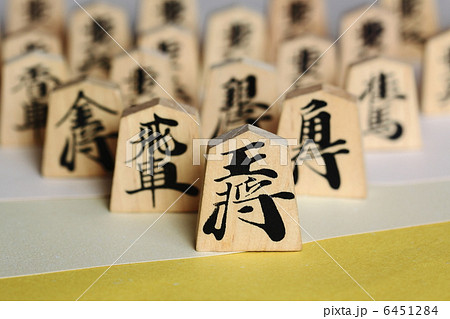 将棋の駒 6451284