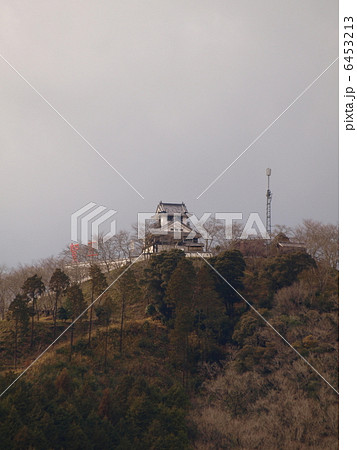 1月の備前国茶臼山城模擬天守 6453213
