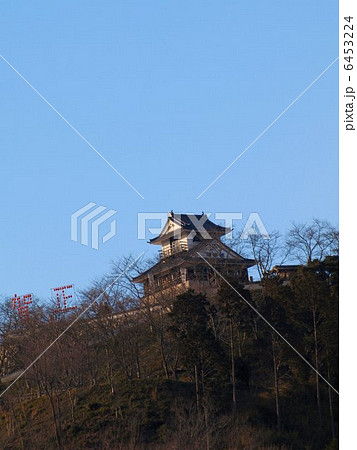 新春の備前国茶臼山城 6453224