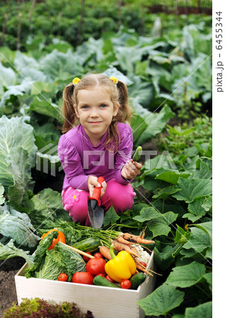 In the kitchen-garden In the kitchen-garden 6455344