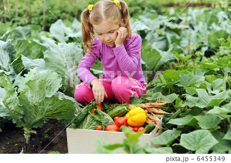 Little girl in the garden 6455349