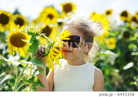 Summer Summer 6455356