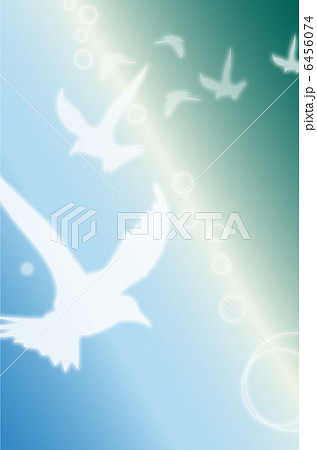 空と鳥　縦 6456074