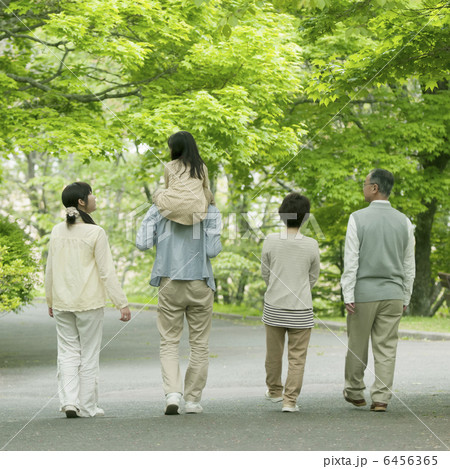 新緑の中を歩く3世代家族の後姿 新緑の中を歩く3世代家族の後姿 6456365
