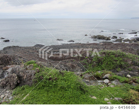 室戸岬の地層(砂岩泥岩互層) 室戸岬の地層(砂岩泥岩互層) 6456630