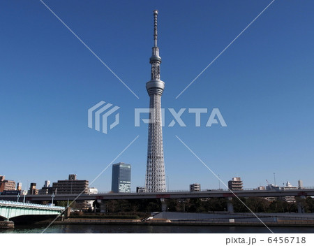 隅田公園から見える東京スカイツリー 6456718